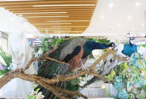 郑州公司吃瓜娱乐,吃瓜娱乐背后的职场生态探秘